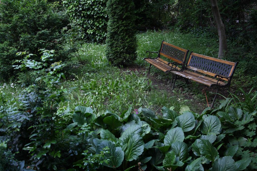 Highland Apartment Budapeşte Oda fotoğraf